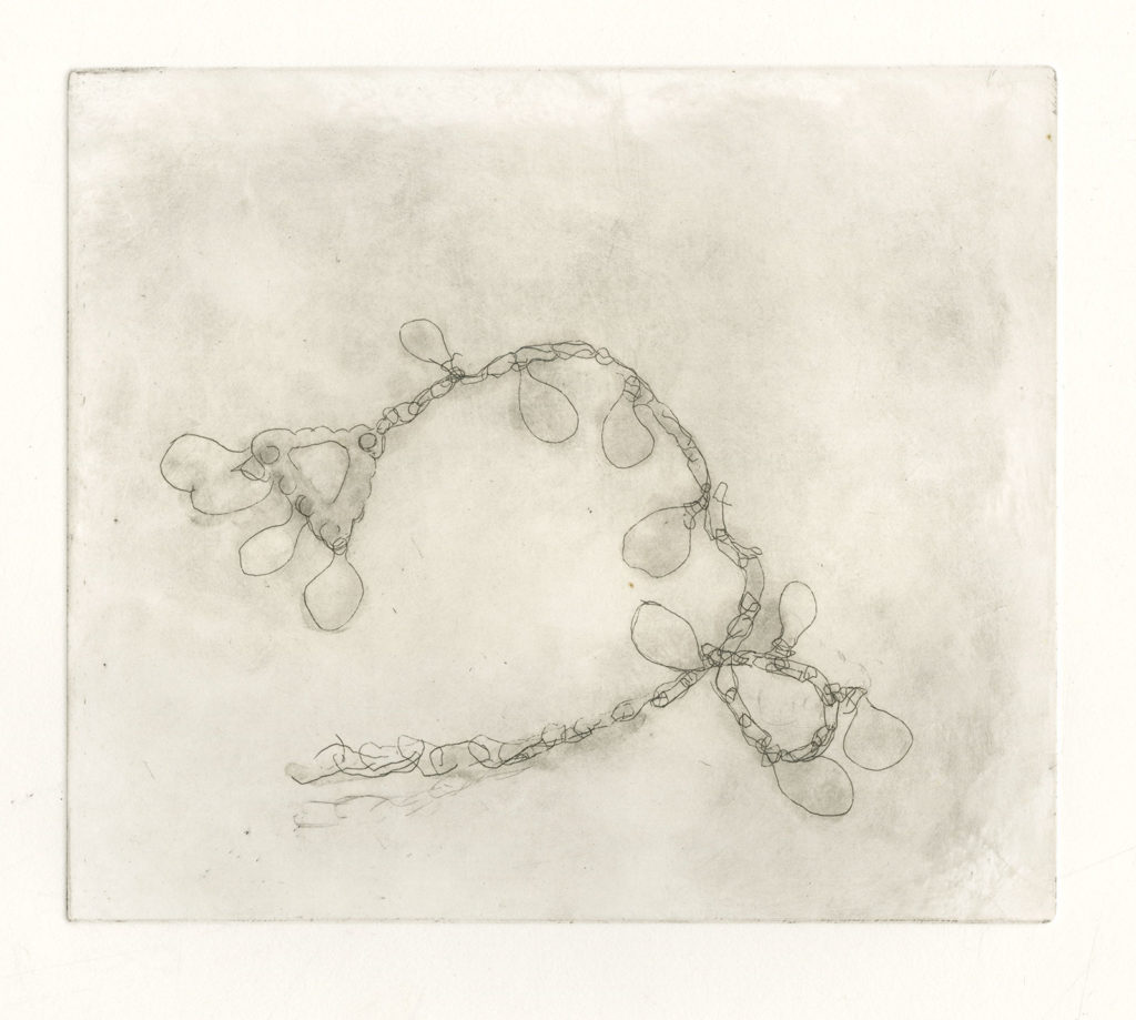 Chain #2, Etching, drypoint. 15 x 11 inches Variable Edition: 3, 2009